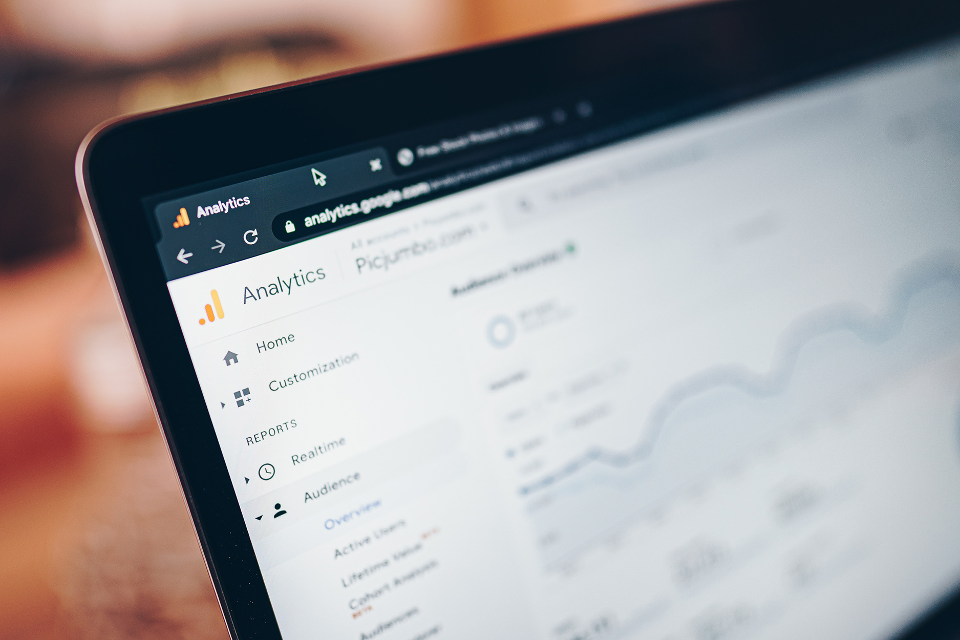 Adana web tasarım hizmetleri